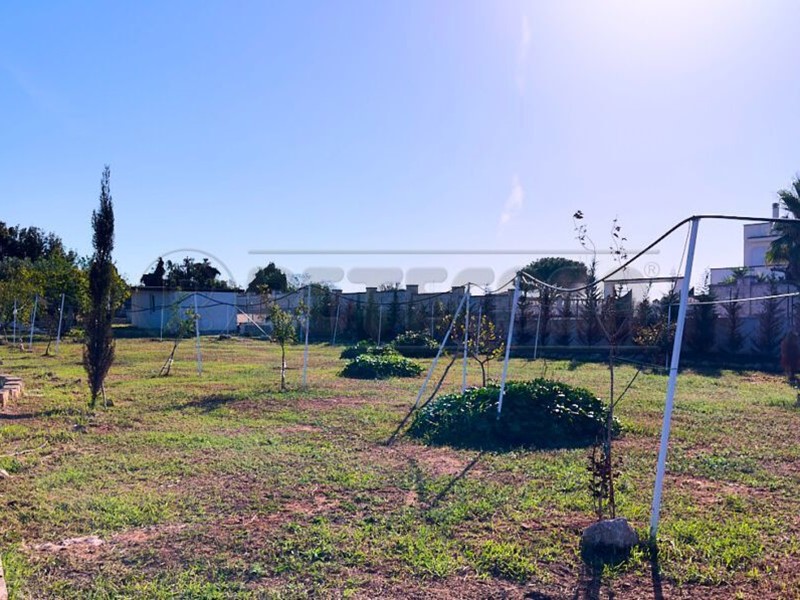Terreno agricolo in Vendita a Gallipoli, 39'000&euro;, 4500 m²
