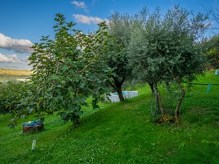 Casa Indipendente in Vendita a Collesalvetti, 469'000&euro;, 205 m², con Box