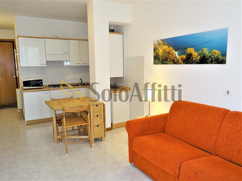 Monolocale in Affitto a Senigallia, zona Montignano, 450€, 30 m², arredato