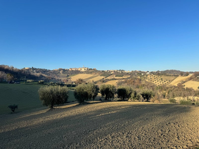 Terreno agricolo in Vendita a Petritoli, 75'000€, 60000 m²