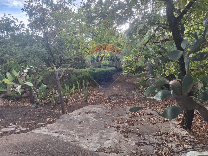 Terreno agricolo in Vendita a Belpasso, 28'000€, 2805 m²