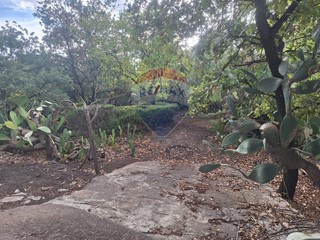 Terreno agricolo in Vendita a Belpasso, 28'000€, 2805 m²