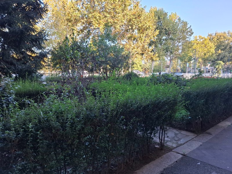 Trilocale in Vendita a Torino, zona Mirafiori, 138'000€, 78 m²