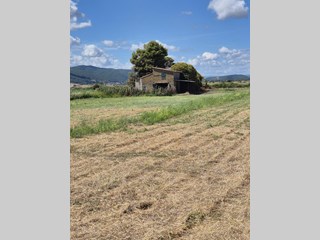 Terreno agricolo in Vendita a Canino, zona Loc. Paglieto, 120'000€, 37000 m², con Box