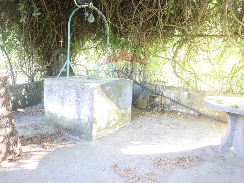 Terreno agricolo in Vendita a Castiglione di Sicilia, 240'000€, 80000 m²