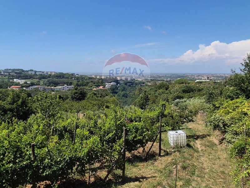 Terreno agricolo in Vendita a Pozzuoli, 150'000&euro;, 5300 m²
