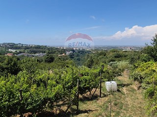 Terreno agricolo in Vendita a Pozzuoli, 150'000&euro;, 5300 m²