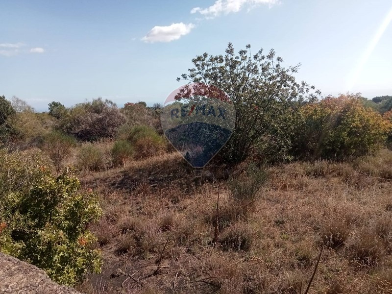 Terreno agricolo in Vendita a Mascalucia, 60'000€, 1500 m²