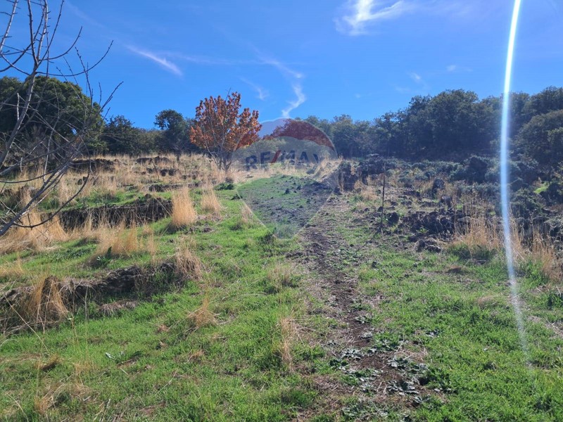 Terreno agricolo in Vendita a Santa Maria di Licodia, 30'000€, 18500 m²