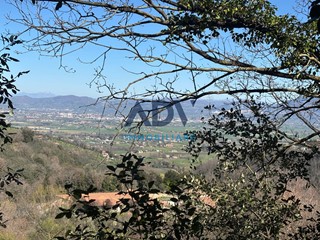 Terreno edificabile in Vendita a Bettona, 40'000€, 1000 m²