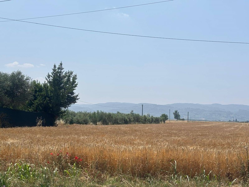 Terreno edificabile in Vendita a Bastia Umbra, 80'000€, 1040 m²