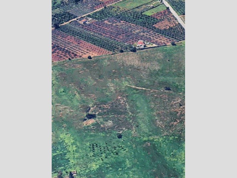 Terreno agricolo in Vendita a Castelvetrano, 120000 m²