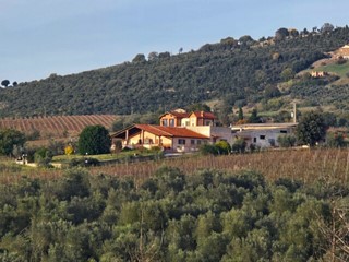 Casa Indipendente in Vendita a Montecchio, 1'200'000€, 300 m²