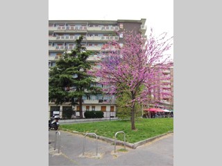 Bilocale in Affitto a Milano, 850&euro;, 43 m²