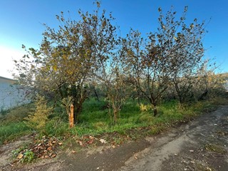 Terreno industriale in Vendita a Avella, 370'000&euro;, 8001 m²