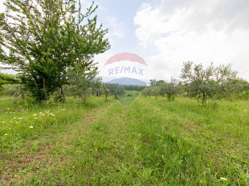 Terreno agricolo in Vendita a Zagarolo, 45'000€, 7613 m²