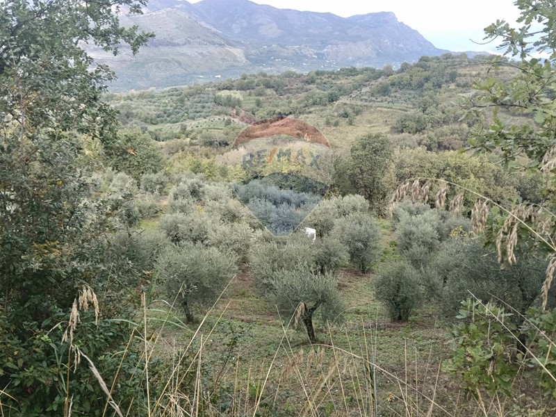 Terreno agricolo in Vendita a Minturno, 18'000€, 5122 m²