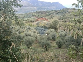 Terreno agricolo in Vendita a Minturno, 18'000€, 5122 m²