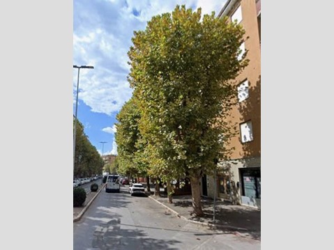 Quadrilocale in Vendita a Grosseto, 42'000€, 70 m²