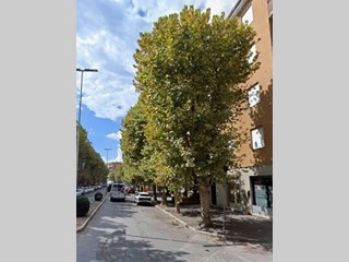 Quadrilocale in Vendita a Grosseto, 42'000€, 70 m²