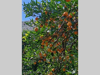 Attività commerciale in Vendita a Floridia, 38'000€, 6100 m²