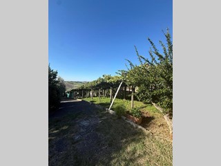 Terreno agricolo in Vendita a Monterotondo, 89'000&euro;, 5000 m²
