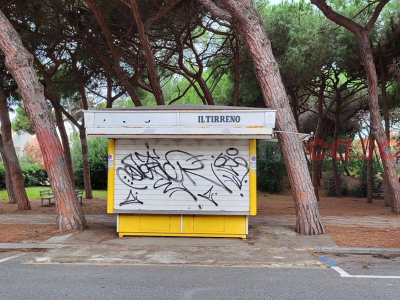 Attività commerciale in Vendita a Cecina, 12'000&euro;, 8 m²