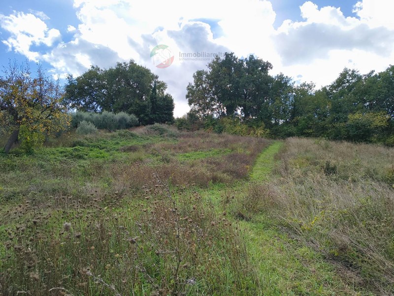 Terreno agricolo in Vendita a Saludecio, 24'000€, 7500 m²