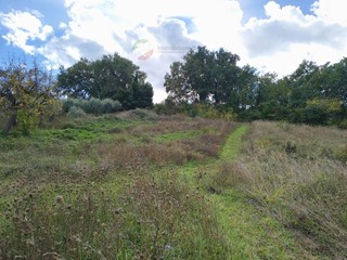 Terreno agricolo in Vendita a Saludecio, 24'000€, 7500 m²