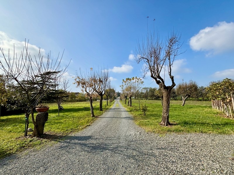 Casa Indipendente in Vendita a Rocca Grimalda, 500'000€, 500 m²