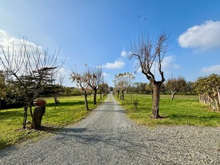 Casa Indipendente in Vendita a Rocca Grimalda, 500'000€, 500 m²