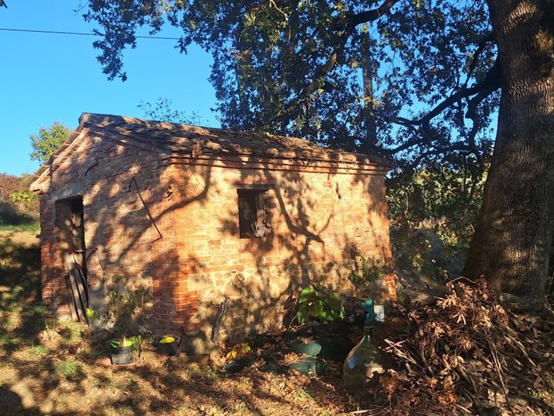 Casa Indipendente in Vendita a Trequanda, 390'000€, 180 m²