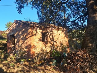 Casa Indipendente in Vendita a Trequanda, 390'000€, 180 m²