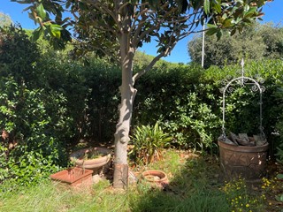 Casa Indipendente in Vendita a Cecina, 170'000&euro;, 45 m²