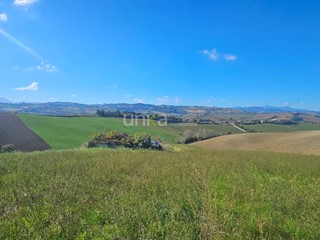 Casa Indipendente in Vendita a Montecarotto, 50'000&euro;, 220 m²