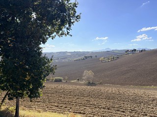 Rustico in Vendita a Belvedere Ostrense, 179'000€, 1000 m²