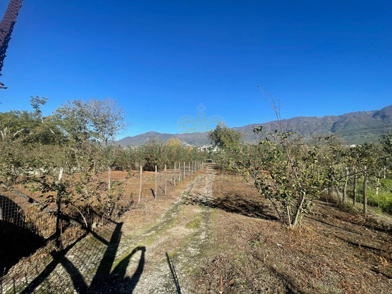 Terreno agricolo in Vendita a Sperone, 60'000&euro;, 2201 m²