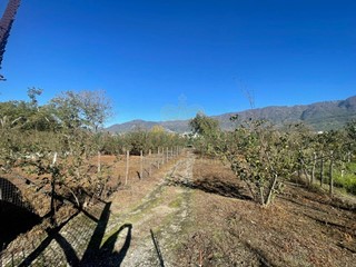Terreno agricolo in Vendita a Sperone, 60'000&euro;, 2201 m²