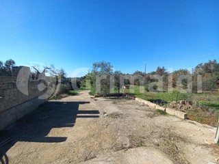 Terreno agricolo in Vendita a Ugento, 10'000€, 6100 m²
