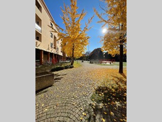 Negozio in Vendita a Gessate, 80'000&euro;, 70 m²