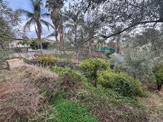 Terreno agricolo in Vendita a Misterbianco, zona Madonna degli Ammalati, 56'000€, 1500 m²