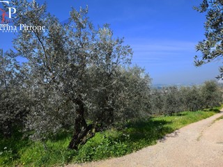 Terreno agricolo in Vendita a Bagno a Ripoli, 35'000€, 7000 m²