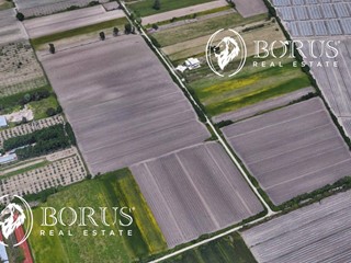 Terreno agricolo in Vendita a San Tammaro, 190'000&euro;, 55000 m²