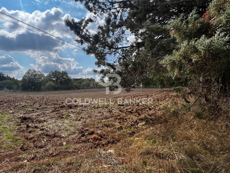 Terreno agricolo in Vendita a Gioia del Colle, 12'000&euro;, 6407 m²