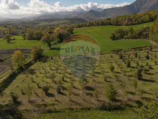 Terreno agricolo in Vendita a Sassoferrato, 29'500&euro;, 5000 m²