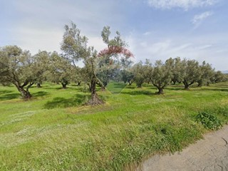 Terreno agricolo in Vendita a Curinga, 130'000€, 24250 m²