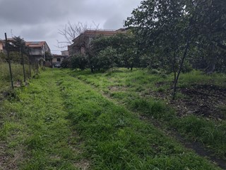 Terreno agricolo in Vendita a Acireale, zona Piano D'api, 55'000&euro;, 3918 m²