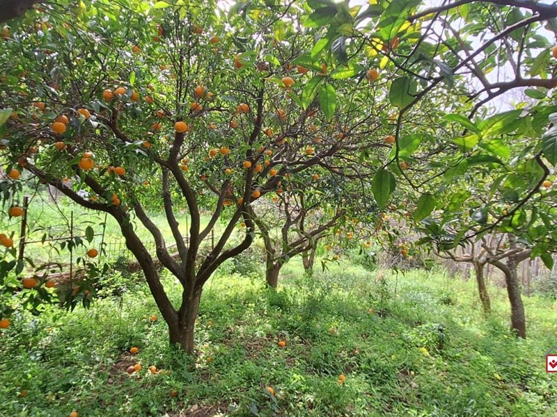 Terreno edificabile in Vendita a Rometta, 22'500&euro;, 2400 m²