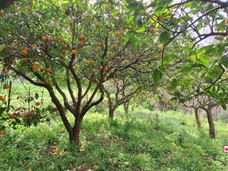 Terreno edificabile in Vendita a Rometta, 22'500&euro;, 2400 m²