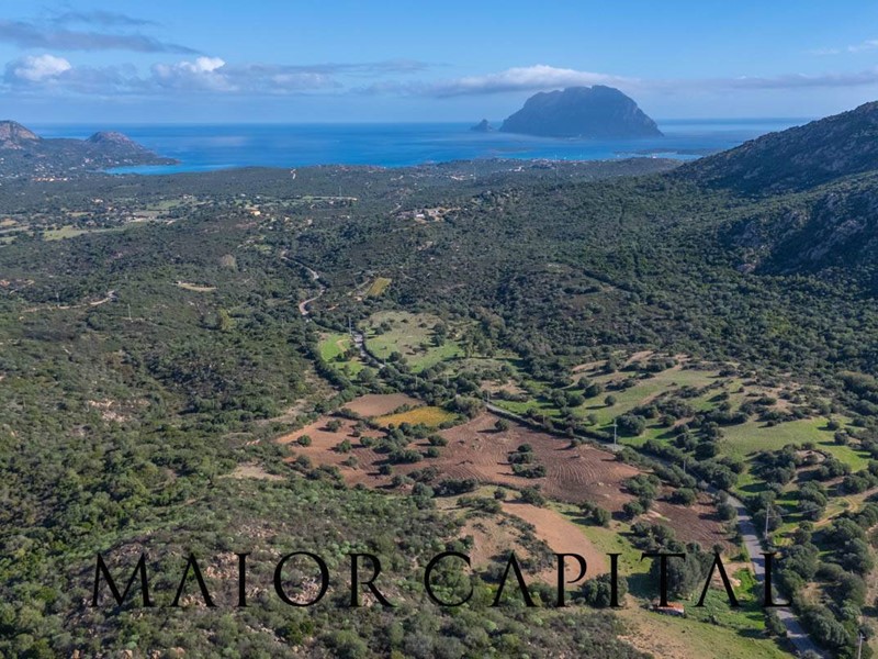 Terreno agricolo in Vendita a Loiri Porto San Paolo, 265'902€, 89293 m²